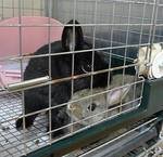 resize0357.jpg