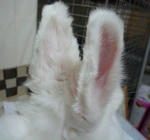 resize0364.jpg