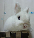 resize0374.jpg