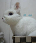 resize0375.jpg