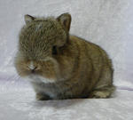 resize0415.jpg