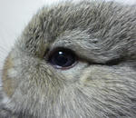 resize0417.jpg