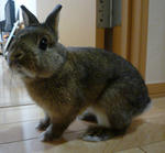 resize0454.jpg