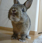 resize0455.jpg