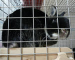 resize0470.jpg