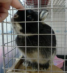 resize0471.jpg