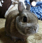 resize0490.jpg