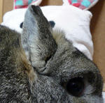 resize0494.jpg