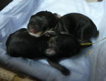 resize0501.jpg