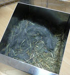resize0503.jpg