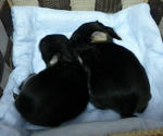resize0504.jpg