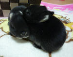 resize0508.jpg