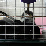 resize0535.jpg