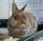 resize0540.jpg
