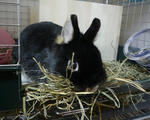 resize0543.jpg