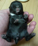 resize0553.jpg