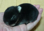 resize0556.jpg