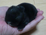 resize0557.jpg