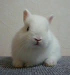 resize0561.jpg