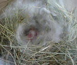 resize0581.jpg