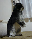 resize0589.jpg