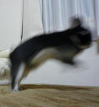 resize0588.jpg