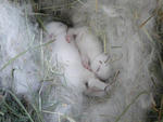 resize0590.jpg
