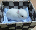 resize0592.jpg
