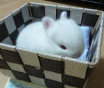 resize0594.jpg