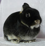 resize0597.jpg