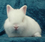 resize0602.jpg