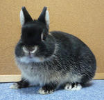 resize0630.jpg