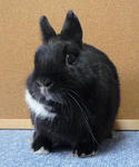 resize0632.jpg