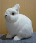 resize0655.jpg