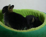 resize0660.jpg