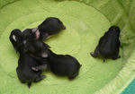 resize0669.jpg