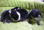 resize0671.jpg