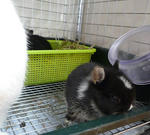 resize0678.jpg