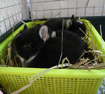 resize0679.jpg