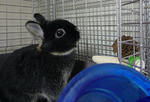 resize0705.jpg