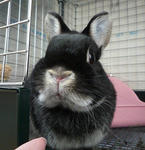 resize0748.jpg
