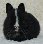 resize0754.jpg