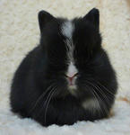 resize0752.jpg