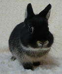 resize0763.jpg