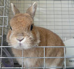 resize0766.jpg