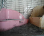 resize0768.jpg