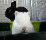 resize0791.jpg