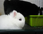 resize0790.jpg
