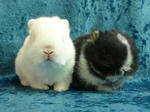 resize0809.jpg