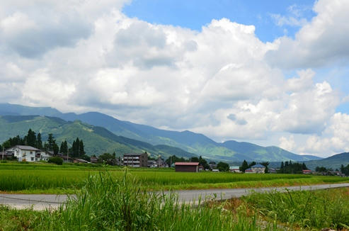 DSC_0213.JPG
